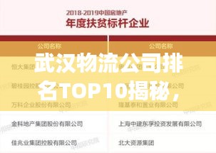 武汉物流公司排名TOP10揭秘，行业翘楚深度解读