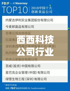 西西科技公司行业排名背后的成功秘诀揭晓