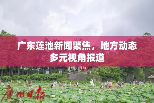 广东莲池新闻聚焦，地方动态多元视角报道