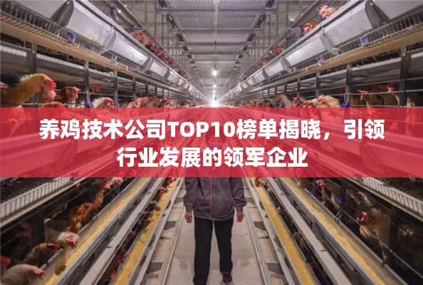 养鸡技术公司TOP10榜单揭晓，引领行业发展的领军企业