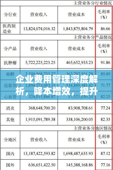 企业费用管理深度解析，降本增效，提升财务效能