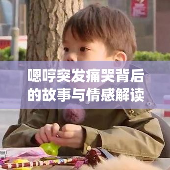 嗯哼突发痛哭背后的故事与情感解读，深度剖析引人深思