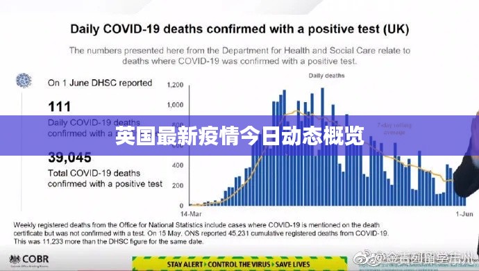 英国最新疫情今日动态概览