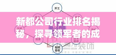 新都公司行业排名揭秘，探寻领军者的成功奥秘