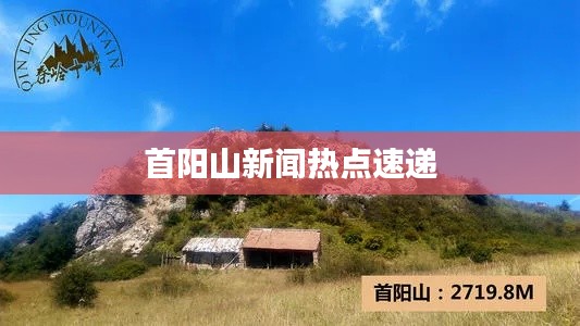 首阳山新闻热点速递