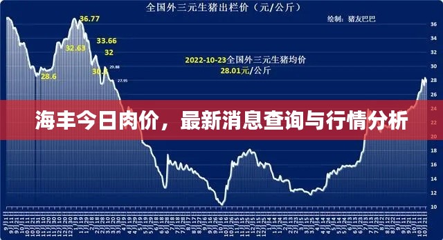 海丰今日肉价，最新消息查询与行情分析