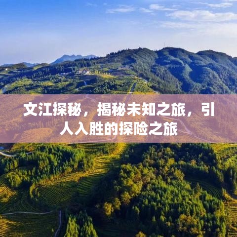 文江探秘，揭秘未知之旅，引人入胜的探险之旅