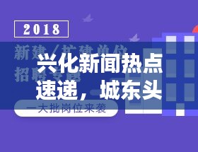 兴化新闻热点速递，城东头条一览