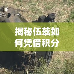 揭秘伍兹如何凭借积分登顶世界高尔夫排名，辉煌成就一览无余