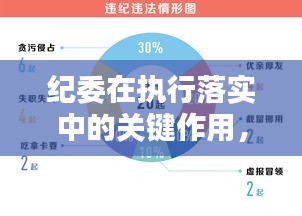 纪委在执行落实中的关键作用，监督保障，推动政策落实的坚实力量