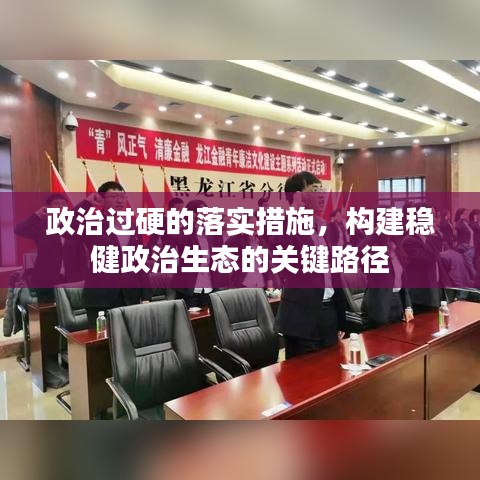 政治过硬的落实措施，构建稳健政治生态的关键路径