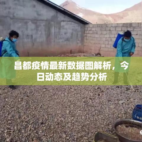 昌都疫情最新数据图解析，今日动态及趋势分析