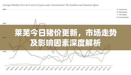 莱芜今日猪价更新，市场走势及影响因素深度解析