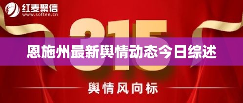 恩施州最新舆情动态今日综述