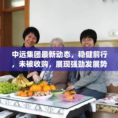 中远集团最新动态，稳健前行，未被收购，展现强劲发展势头