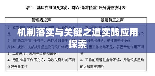 机制落实与关键之道实践应用探索