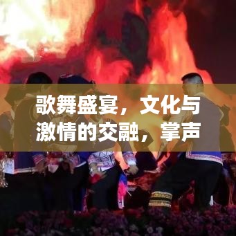 歌舞盛宴，文化与激情的交融，掌声不断之夜