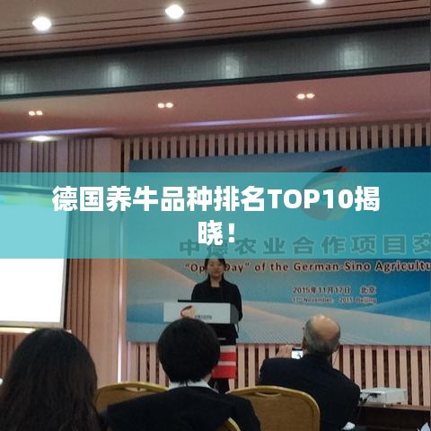 德国养牛品种排名TOP10揭晓！