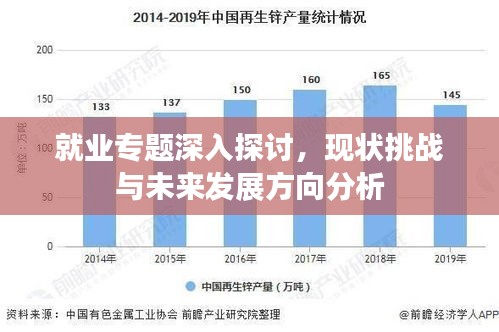 就业专题深入探讨，现状挑战与未来发展方向分析