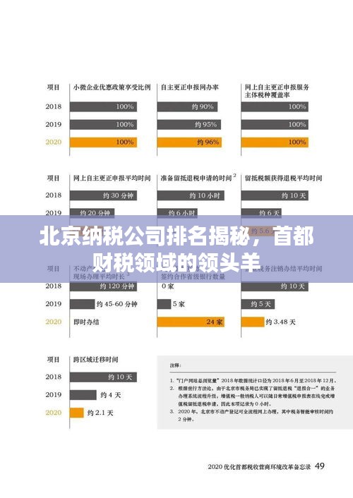 北京纳税公司排名揭秘，首都财税领域的领头羊