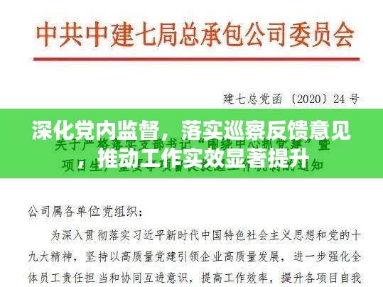 深化党内监督，落实巡察反馈意见，推动工作实效显著提升