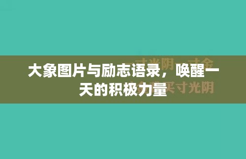 大象图片与励志语录，唤醒一天的积极力量