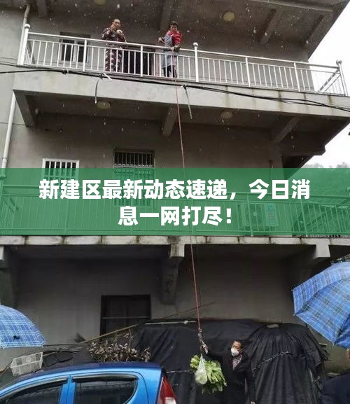 新建区最新动态速递，今日消息一网打尽！