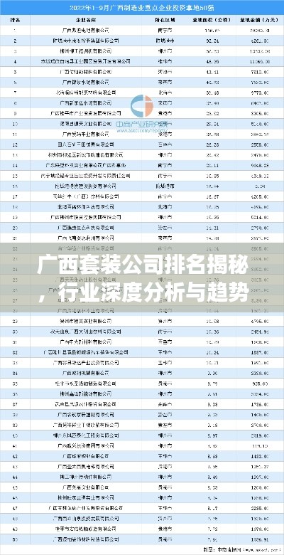 广西套装公司排名揭秘，行业深度分析与趋势解读