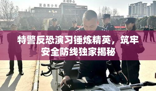 特警反恐演习锤炼精英，筑牢安全防线独家揭秘