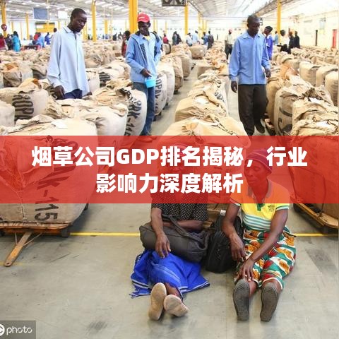 烟草公司GDP排名揭秘，行业影响力深度解析