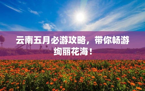 云南五月必游攻略，带你畅游绚丽花海！
