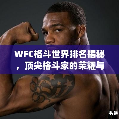 WFC格斗世界排名揭秘，顶尖格斗家的荣耀与挑战之旅