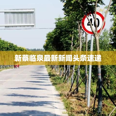新蔡临泉最新新闻头条速递