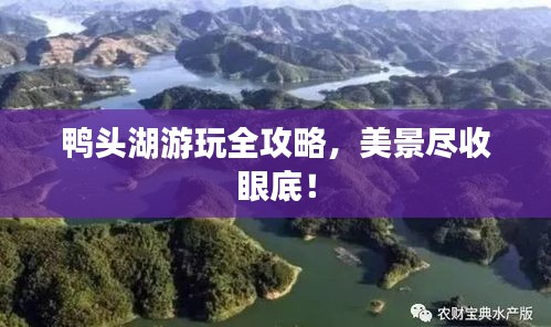 鸭头湖游玩全攻略，美景尽收眼底！