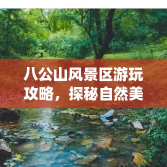 八公山风景区游玩攻略，探秘自然美景，尽享绝佳体验！