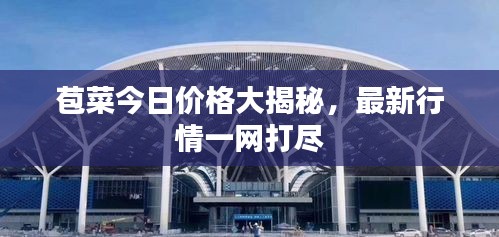 案例