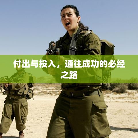 付出与投入，通往成功的必经之路