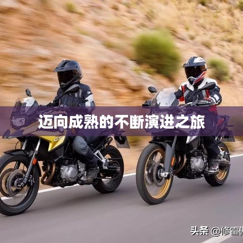 迈向成熟的不断演进之旅