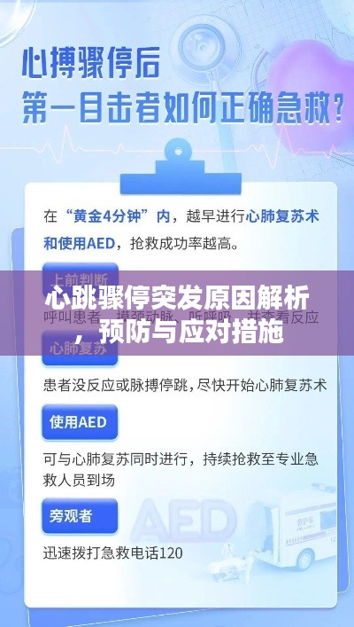 心跳骤停突发原因解析，预防与应对措施
