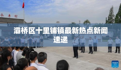 灞桥区十里铺镇最新热点新闻速递