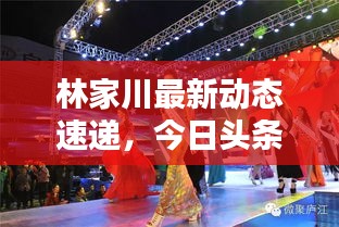 林家川最新动态速递，今日头条权威消息来源