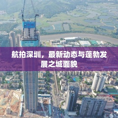 航拍深圳，最新动态与蓬勃发展之城面貌