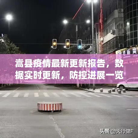 嵩县疫情最新更新报告，数据实时更新，防控进展一览