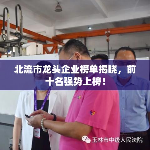 北流市龙头企业榜单揭晓，前十名强势上榜！