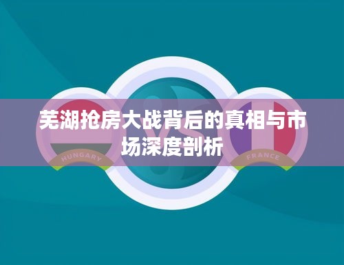 芜湖抢房大战背后的真相与市场深度剖析