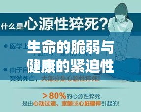 生命的脆弱与健康的紧迫性，突发疾病猝死引发的警示与思考