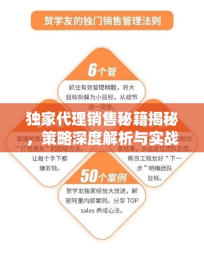 独家代理销售秘籍揭秘，策略深度解析与实战指南