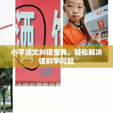 小学语文纠错宝典，轻松解决错别字问题