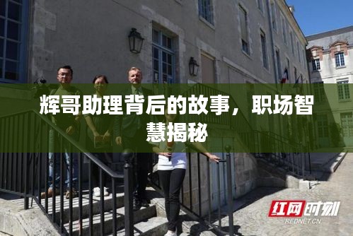 辉哥助理背后的故事，职场智慧揭秘