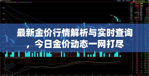 最新金价行情解析与实时查询，今日金价动态一网打尽